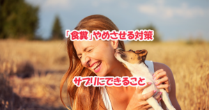 犬 食糞対策サプリの比較表